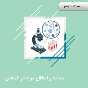 جذب و انتقال مواد در گیاهان