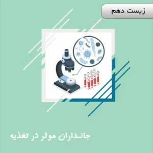 جانداران موثر در تغذیه