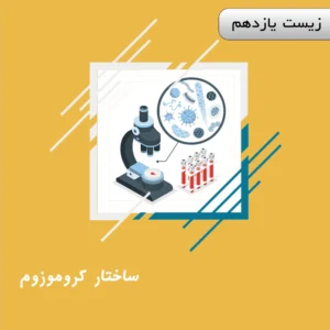 ساختار کروموزوم (کروموزوم/ کروماتین/ کروماتید/ساترومر/ژن/دنا/عدد کروموزومی/کاریوتیپ)