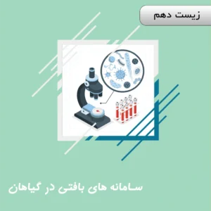 دوره تولید سامانه های بافتی در گیاهان زیست دهم ویژه کنکور | آلبومین