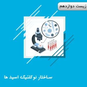 ساختار نوکلئیک اسید ها( دنا/ رنا/ باز های الی پورین و پریمدین)