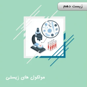 مولکول های زیستی (کربوهیدرات و لیپیدها و پروتئین و نوکلئیک اسید ها(دنا و رنا))