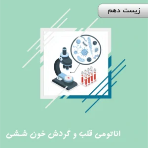 آناتومی قلب و گردش خون ششی و عمومی