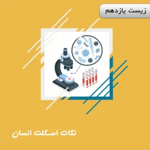 دوره نکات اسکلت انسان زیست یازدهم ویژه کنکور | آلبومین