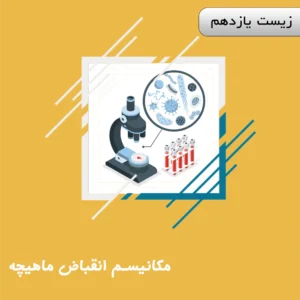 دوره مکانیسم انقباض ماهیچه زیست یازدهم ویژه کنکور | آلبومین