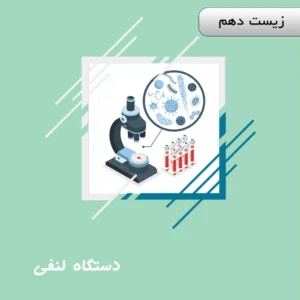 دستگاه لنفی