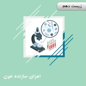 اجزای سازنده خون