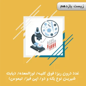 غدد درون ریز (هیپوتالاموس/هیپوفیز پیشین و پسین/تیروئید/پاراتیروئید)