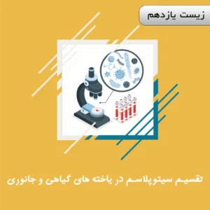 تقسیم سیتوپلاسم در یاخته های گیاهی و جانوری